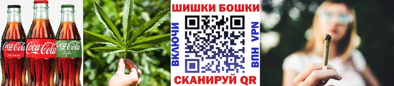 Canna-Cookies марихуана Шумиха