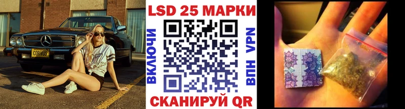 дарнет шоп  Шумиха  Марки NBOMe 1500мкг 