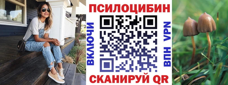 купить Шумиха Псилоцибиновые грибы MAGIC MUSHROOMS